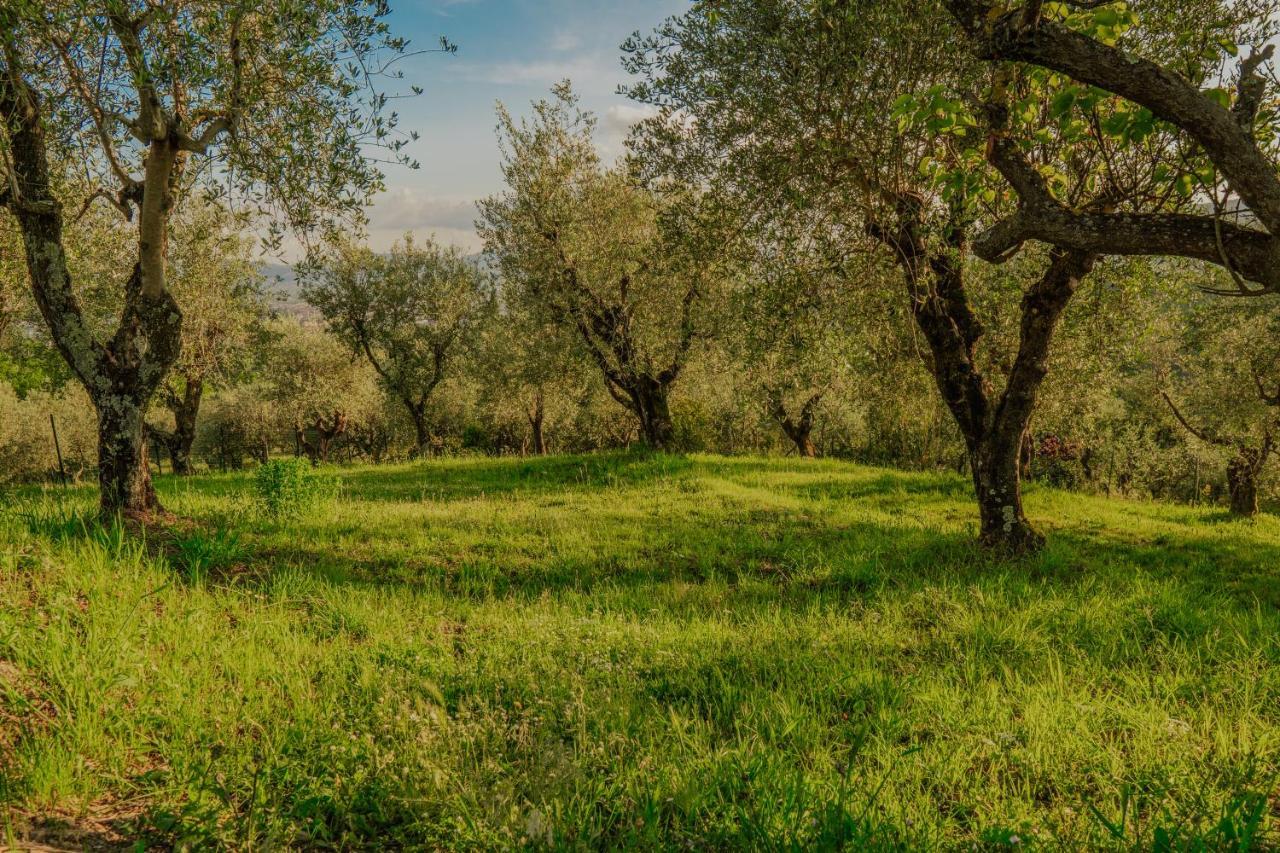 L'Otello B&B Pistoia Zewnętrze zdjęcie
